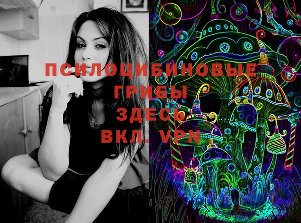 мяу мяу мука Кострома