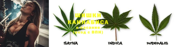 мяу мяу мука Кострома