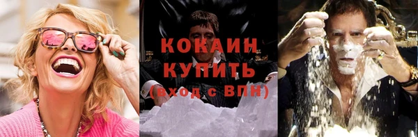 трава Архангельск