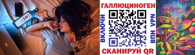 Псилоцибиновые грибы Psilocybe  наркошоп  Москва 
